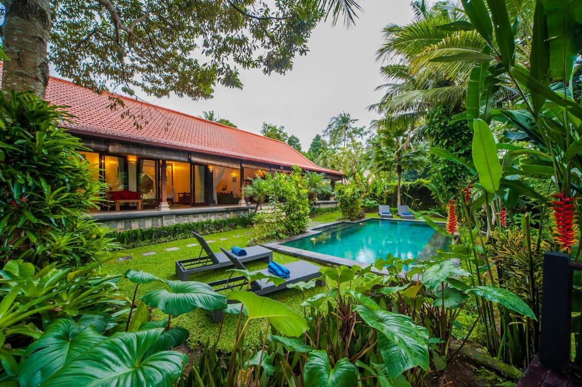 Luxury 3Br Infinity Jungle View Aashaya Villa Ubud Exteriör bild