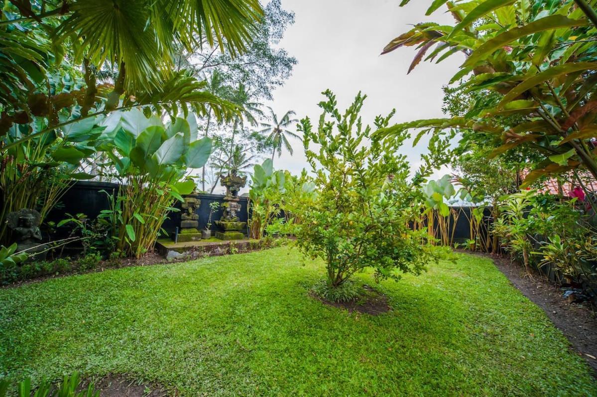 Luxury 3Br Infinity Jungle View Aashaya Villa Ubud Exteriör bild