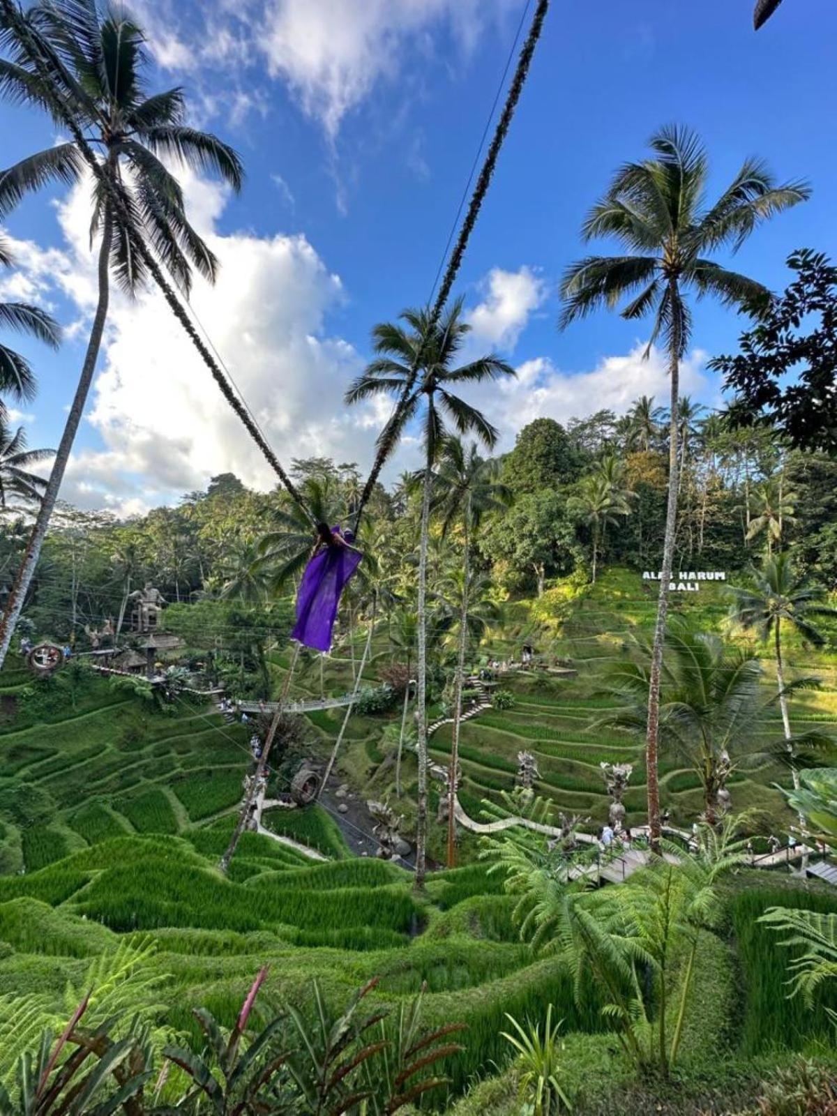 Luxury 3Br Infinity Jungle View Aashaya Villa Ubud Exteriör bild
