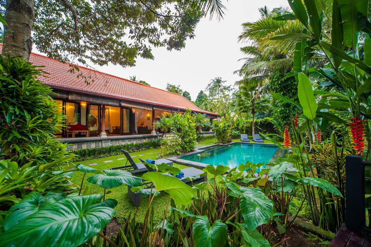 Luxury 3Br Infinity Jungle View Aashaya Villa Ubud Exteriör bild